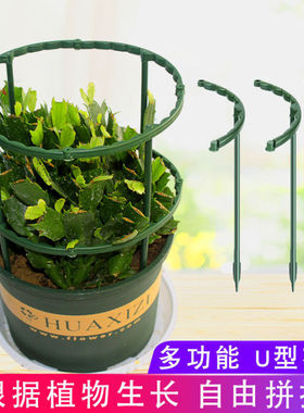蟹爪兰花支架太阳花支架放倒扶支撑杆兰花护叶爬藤花支架