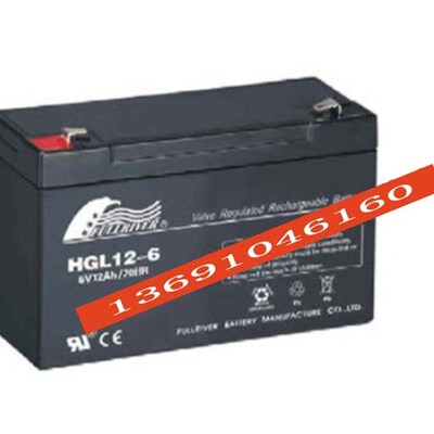 FULLRIVER蓄电池 HGL12-6 6V12AH/20HR 玩具车 仪器仪表用电瓶