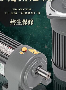 卧式立式齿轮减速电机CHGV200W400W750W调速变频刹车小金刚减速机