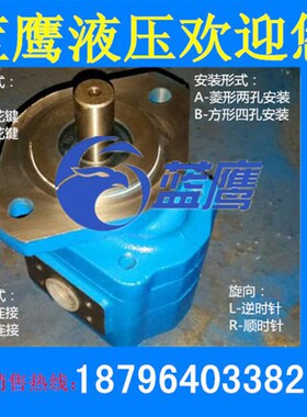 CBY4125 4140 4150 4160 4170 4180 4190 4200长江型齿轮油泵A1FR