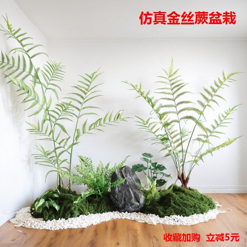 仿真金丝蕨盆栽禅意造景落地猴头蕨类盆景室内装饰假树仿真绿植,童鞋/婴儿鞋/亲子鞋,其他鞋配件,淘宝优惠券,粉丝福利购,淘宝优惠卷