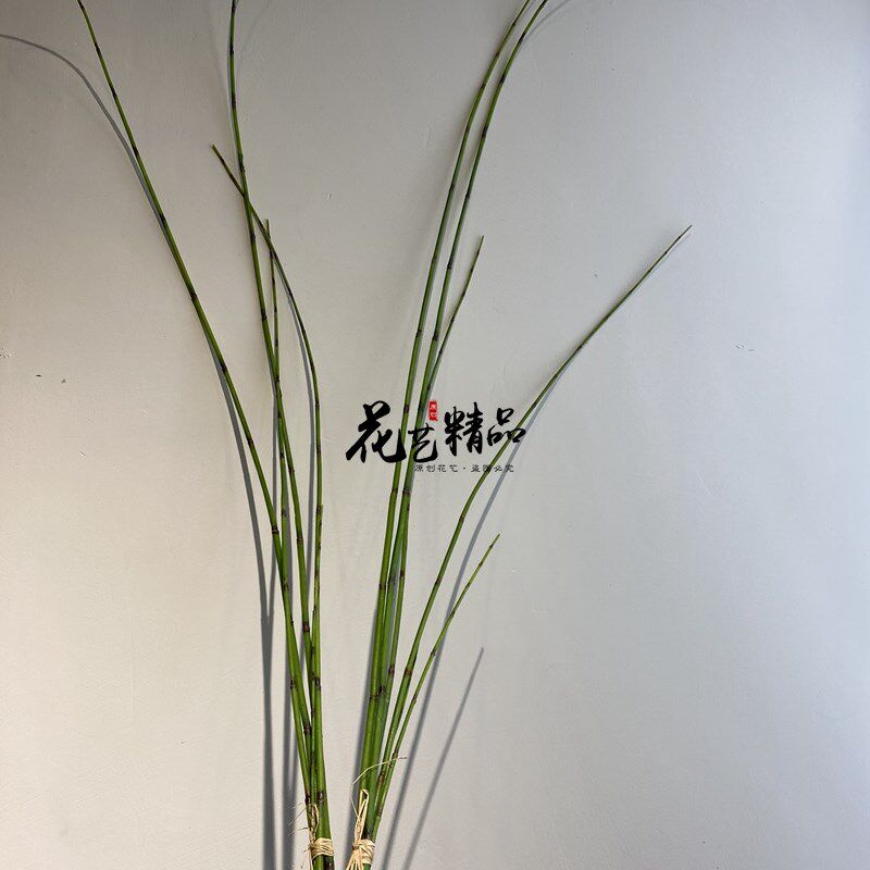 仿真木贼插花树枝线条型挑高素材剑叶刚草钢草细竹节日式中式花艺
