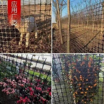 养鸡网农村拦鸡鸭围栏网菜园子围栏网鸡舍围栏网塑料网防护网