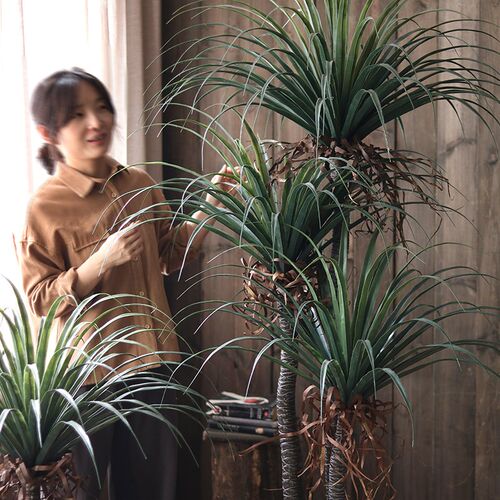 龙血树仿真绿植装饰盆景大型仿生假树植K物盆栽室内酒店橱窗摆件