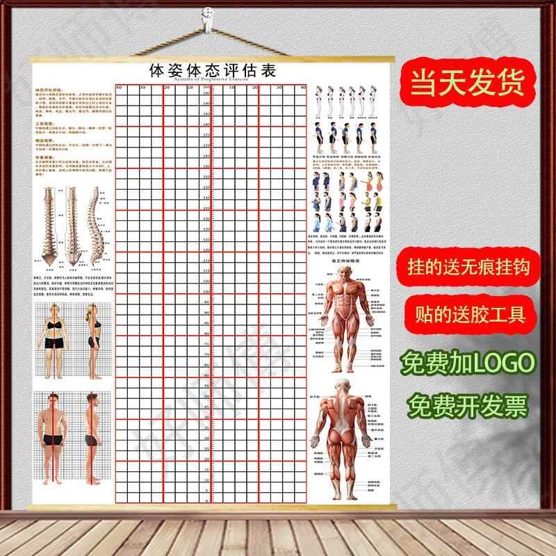 体态评估表挂式贴式体测健身x房瑜伽馆私教身高臂展网格身体对比
