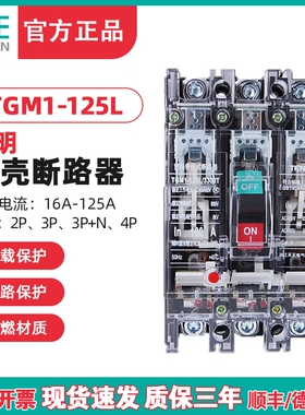 TENGEN天正电气TGM1-125L/3300T 100A塑壳断路器工地开关透明外壳