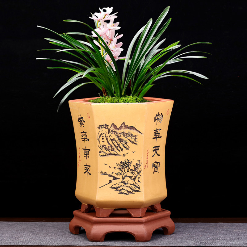 陶瓷紫砂兰花专用盆手工家用透气六方兰草君子兰蕙兰绿植盆景花盆
