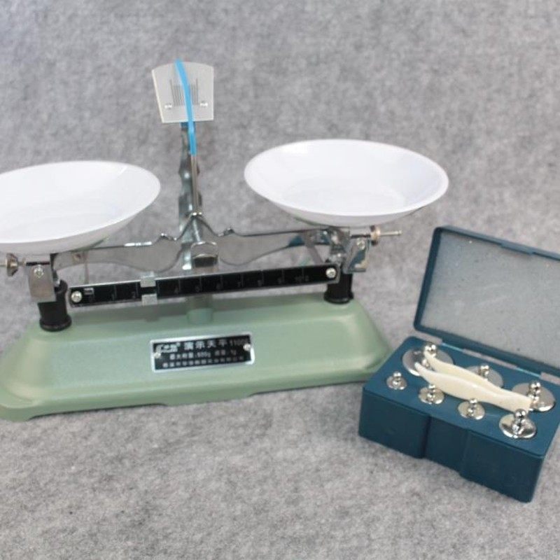 教学用托盘天平架盘天平学生天平演示用天平简易天平含砝码镊子