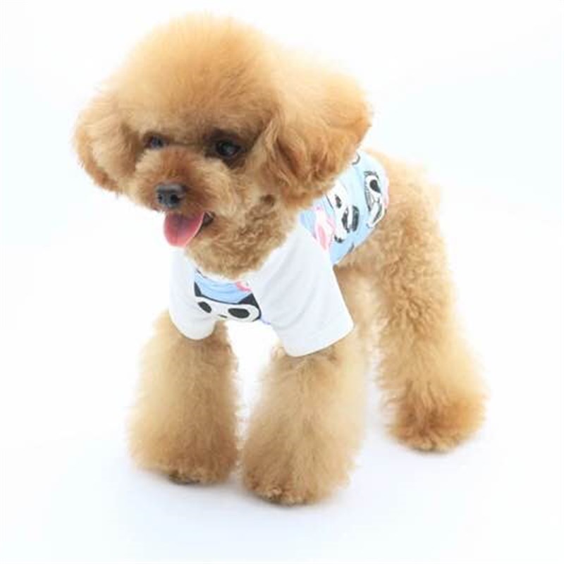 宠物猫狗衣服两脚衣插肩袖T恤衫纸板图纸DIY柯基打版模版纸样