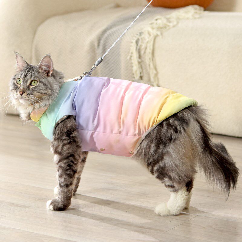 猫咪衣服冬季保暖羽绒服小猫英短缅因银渐层猫马甲不粘毛带牵引扣
