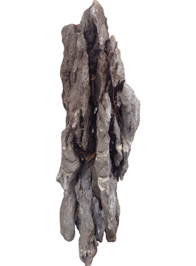 抱树石天然造景石客厅田园精品盆景桌面庭院附树T石送礼装饰品摆