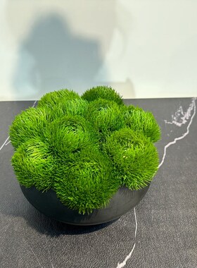 新中式样板房花艺  酒店餐厅民宿客厅茶几绿Q植石竹苔藓软装饰品