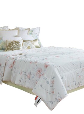 夏季夏被单人薄被子被芯3s-4斤春秋被空调被220x240夏凉被双人