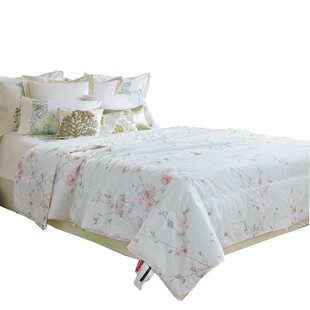 夏季 4斤春秋被空调被220x240夏凉被双人 夏被单人薄被子被芯3s