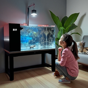 嘉赤2025新款客厅办公室桌面溪流观赏龙金鱼超白玻璃自循环侧滤缸