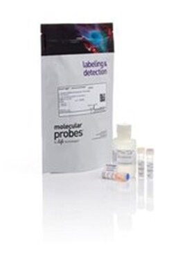 Qubit dsDNA HS Assay Kit Q32851 100 assays