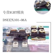 02A 12A DSEI2X101 DSE12X61 DSE12X121 06C 04C DSEI2X61 12B
