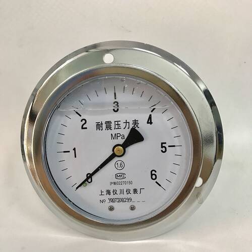 轴向带固定圈防震压力表 压力 6mpa 直径100mm (背后99大圈139)