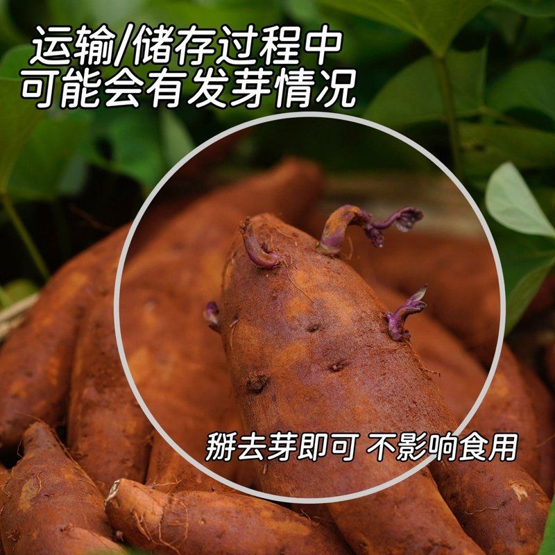 云南高原榴莲蜜薯地瓜细腻丝滑薯香浓郁烤红薯3-5斤装中通包邮