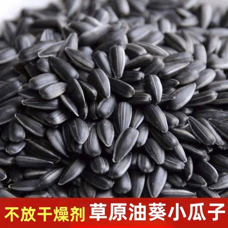 新货内蒙古黑珍珠油葵袖珍小瓜子 皮薄肉厚原味五香奶香小葵花籽
