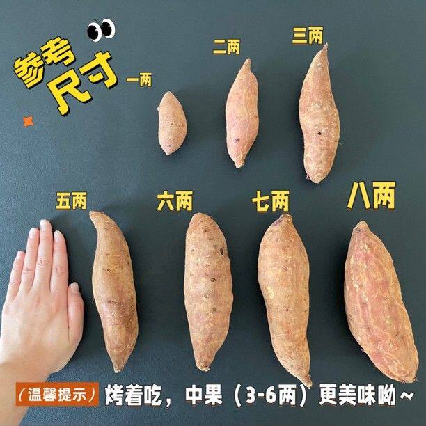 田与薯榴莲蜜薯云南高原蜜薯希露库丝滑黄心番薯软糯香甜新鲜