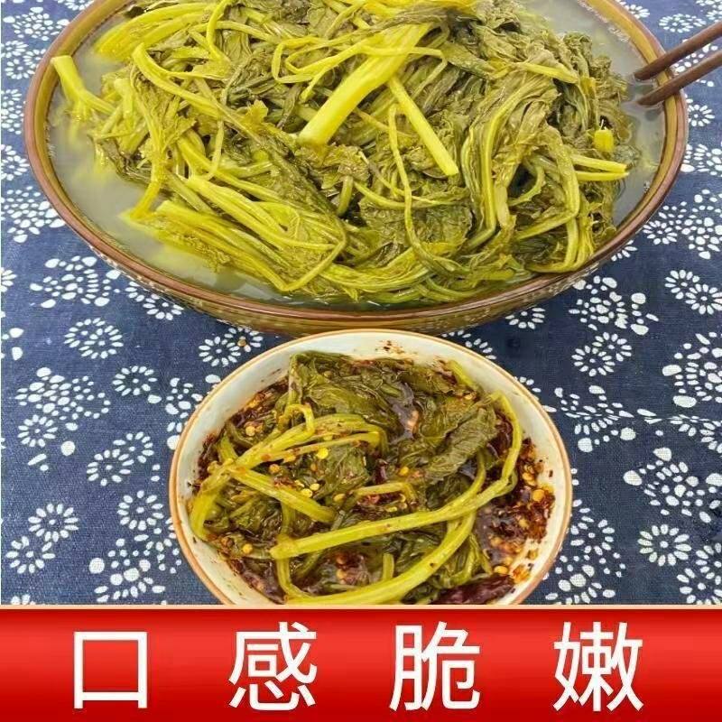 甄味馋贵州特产油菜酸菜小油菜酸菜贵州酸菜酸爽脆嫩