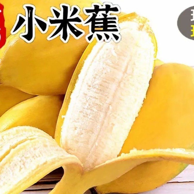 广西小米蕉拇指蕉青焦发纯天然9斤当季新鲜香蕉产地小芭蕉酸甜蕉