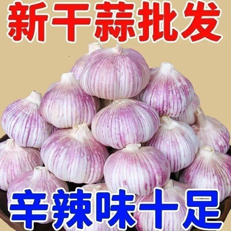 抢五斤】2026年新干蒜河南杞县大蒜晒干蒜头特价2/3/5斤