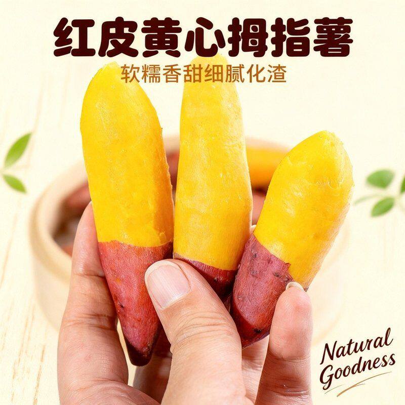 【当季现挖拇指薯】天目山小香薯品种新鲜板栗红薯农家当季新粗粮