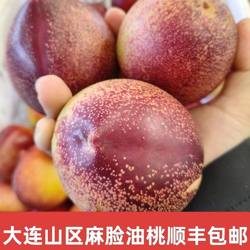 【】大连山区离核黄心油桃丑桃礼盒装油七个别带麻脸油桃