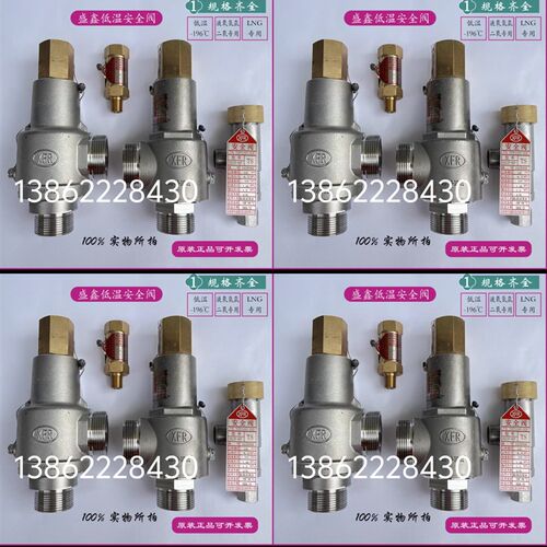 张家港盛鑫不锈钢低温阀门DA22F-40P全启式低温储罐安全阀 泄压阀