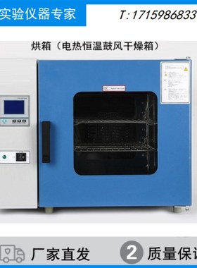 电热恒温干燥箱鼓风烘干电热烤箱高温烘箱DHG-9030A/9050A/9070A