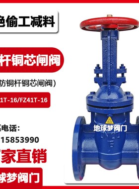 明杆铜杆铜芯人防防护密闭法兰闸阀门FZ41T-16 10015065802001250