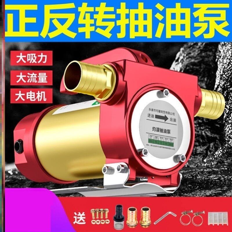 正反转加油泵棒蚌防爆小型器电瓶电动换机油抽油泵柴油12v24v220v