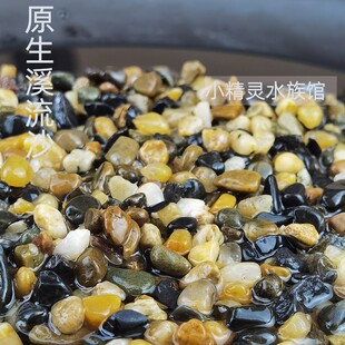 原生态溪流沙鱼缸底砂造景大矶沙七彩雷龙埃及发色水族水草溪水石