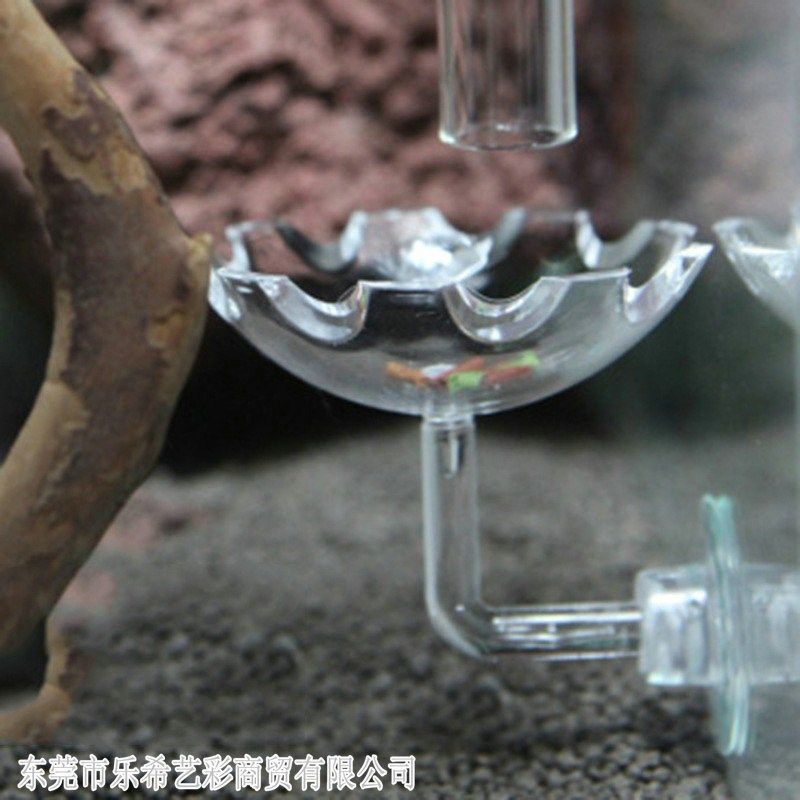 水晶虾空中虾食盆高透明度亚克力水晶虾食盆喂食杯硅胶小型鱼食盆