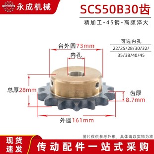 SCS高品质成型孔链轮5分50B30齿10A30T 精车内孔键槽顶丝 外径161
