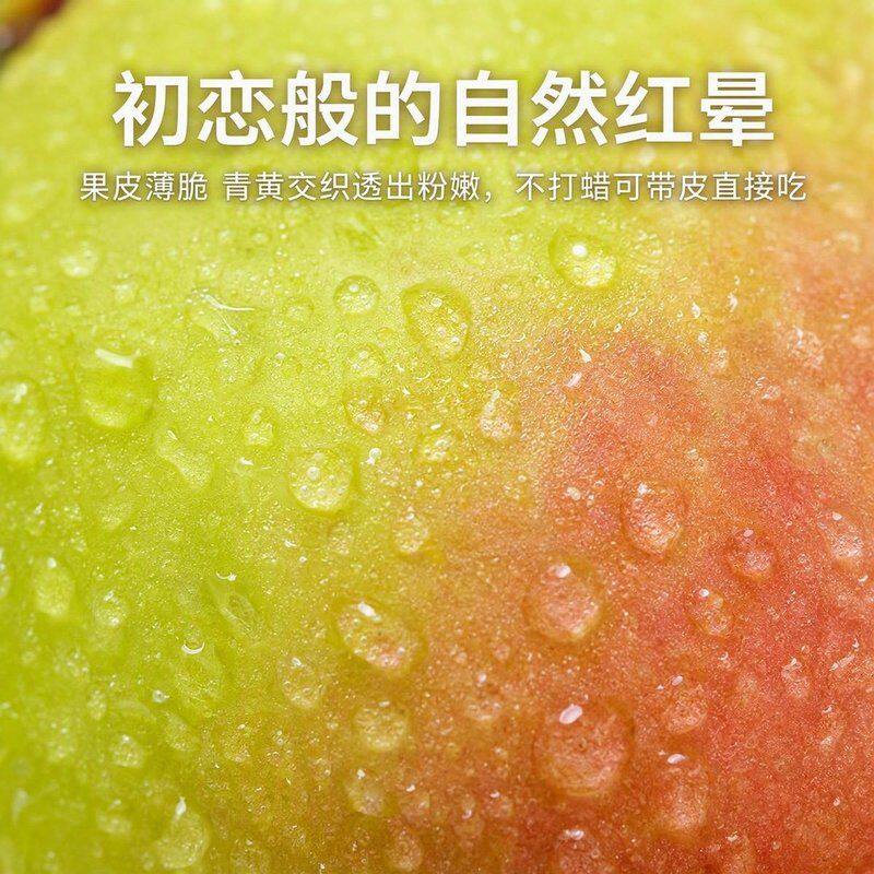 【头茬】新鲜青森水蜜桃苹果脆甜多汁应季现摘坏果包赔