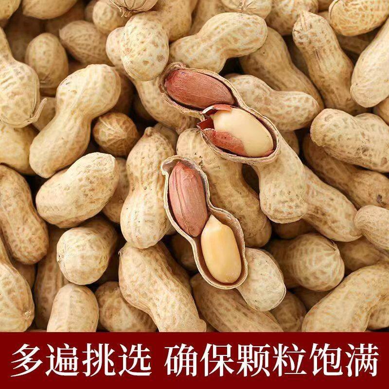 【到手两斤】多味小珍珠花生焦香酥脆炒熟花生核桃味蒜香味卤香味