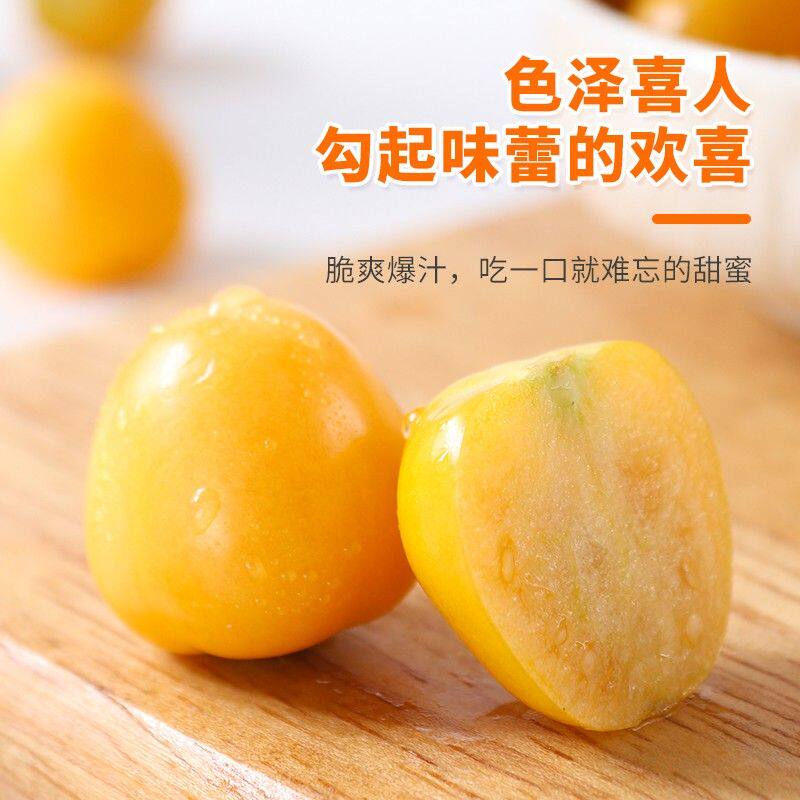 正宗东北姑娘果产地直发灯笼果当季新鲜水果菇娘果超甜