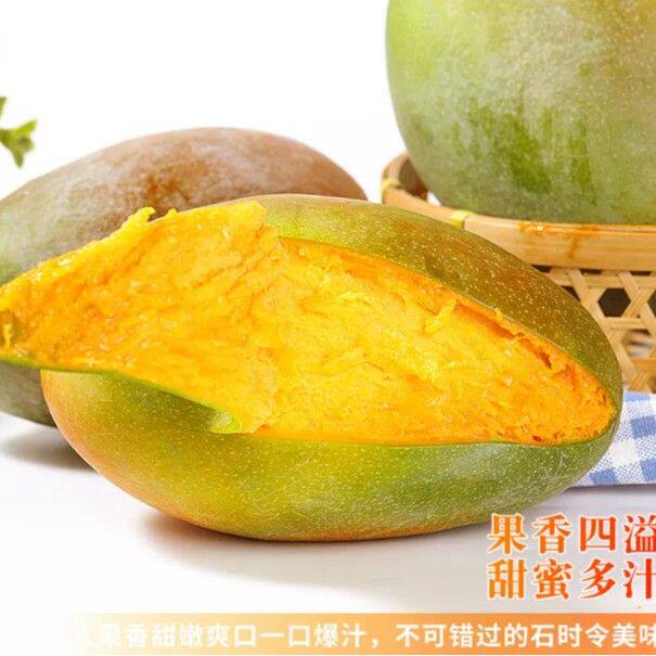 【只发新疆】到手1-2天捂软再吃!!凯特芒攀枝花芒果香甜新鲜现