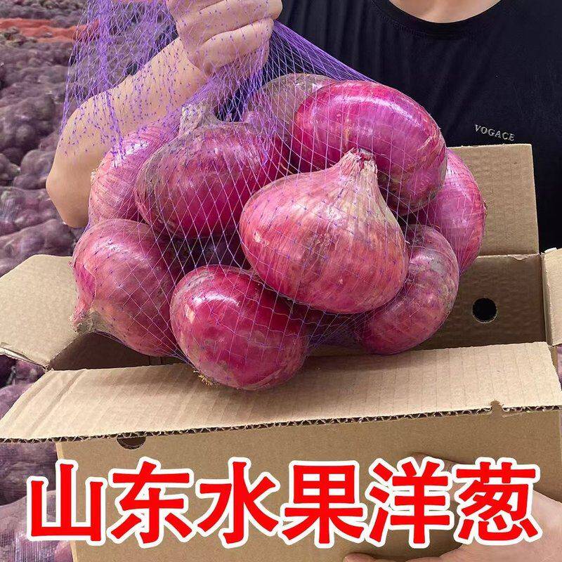 产地现挖水果洋葱新鲜紫皮洋葱生吃脆甜多汁微辣蔬菜