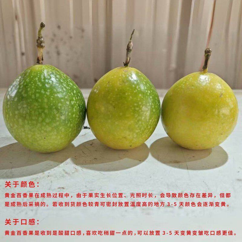 达人专属【米阳甜源】钦蜜9号黄金百香果果味浓郁多汁20个XB