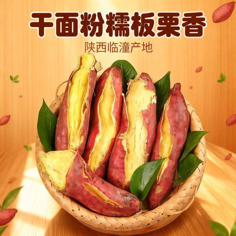 【柿季耘】净重5斤/3斤陕西临潼板栗红薯板栗薯新鲜板栗红薯粉面