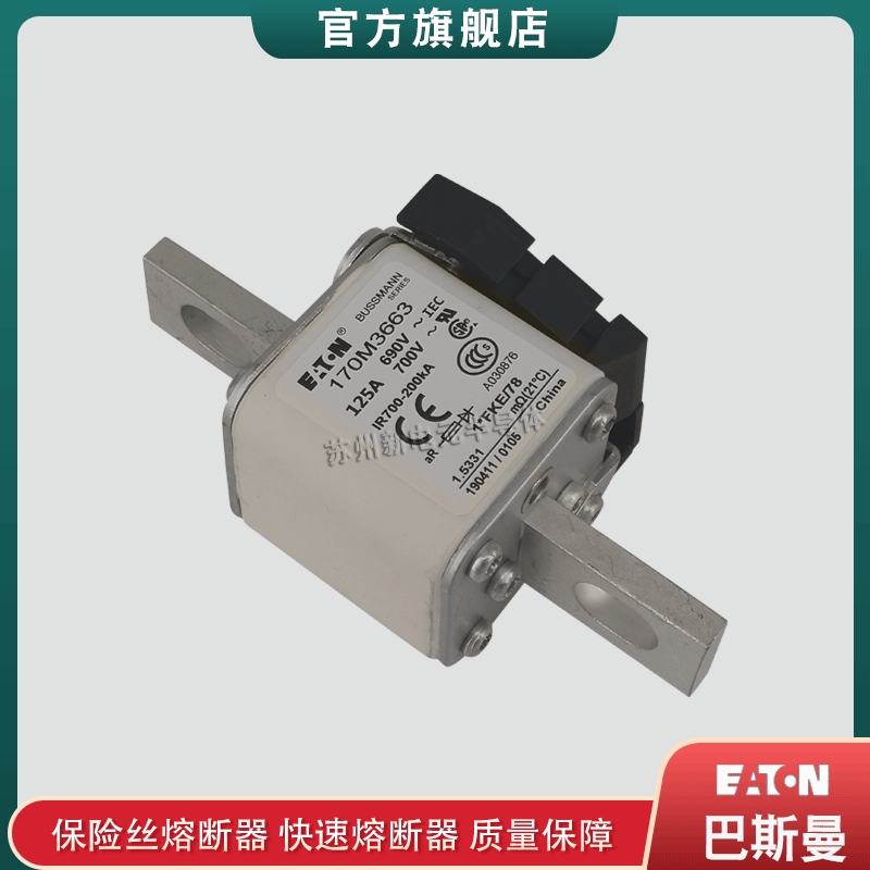 170M3663 3664 3665 3666 3667 3668巴斯曼bussmann熔断器保险丝