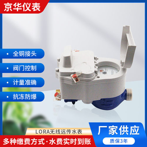 无线远传水表LORA电子远传水表手机付费家用水表支持加工定制