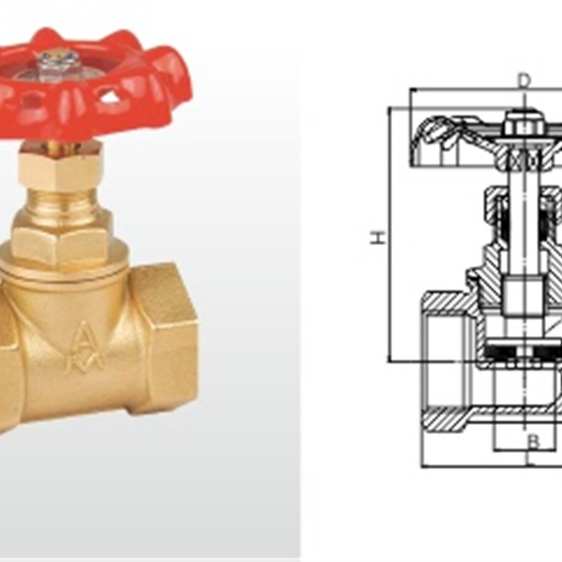 正品埃美柯301黄铜加厚丝口截止阀止回阀DN810152025324050专卖店