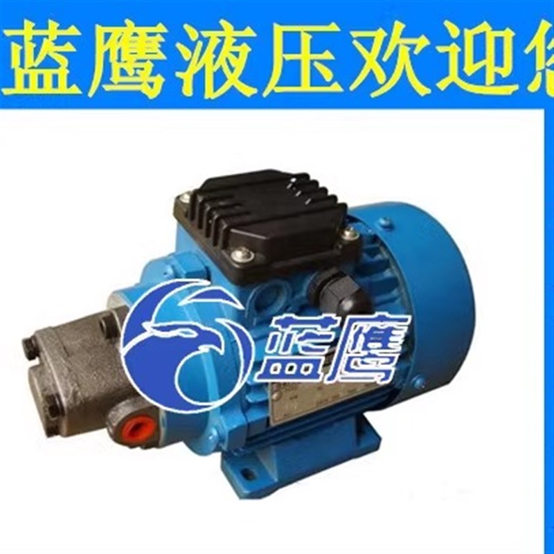 BRB-1 2 BRB-3 4 6 BRB-5摆线润滑油泵120W 380V微型摆线泵组JZ