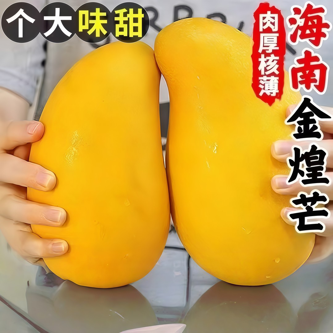正宗海南金煌芒新鲜芒果整箱皮薄肉厚香甜多汁纸核芒