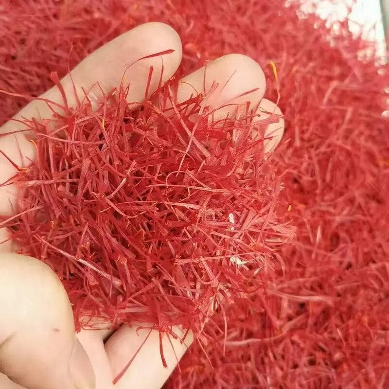 高原藏红花头茬香气浓郁泡水滋正宗无硫熏假一罚十试喝5-8根